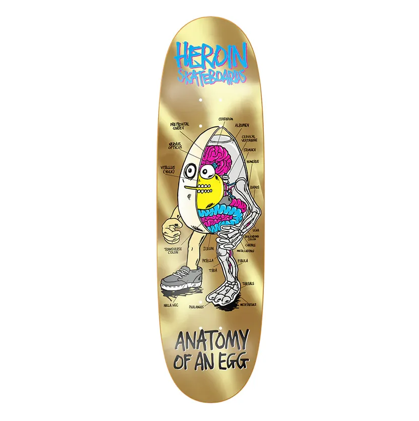 Anatomy Egg Gold Deck  8.75"