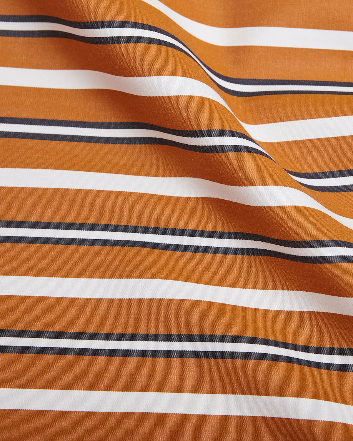 Burnt Orange Track Stripe Point Collar Shirt