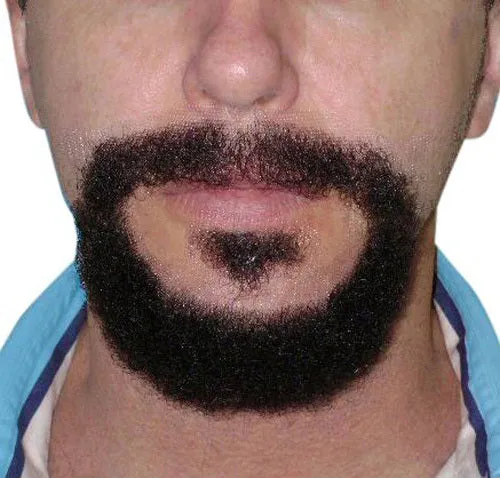 Circle Beard - Marco | Walter White 'Breaking Bad' - Brown or Black