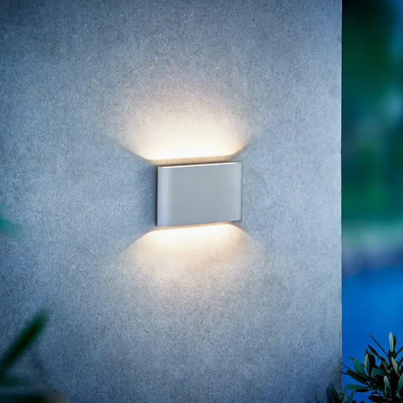 Elegant Up & Down Wall Light | Assorted Colours