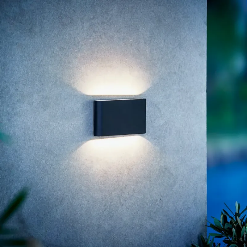 Elegant Up & Down Wall Light | Assorted Colours