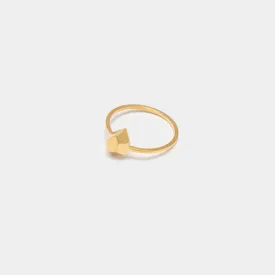 The Desire - ring - sterling silver 925 - gold plated